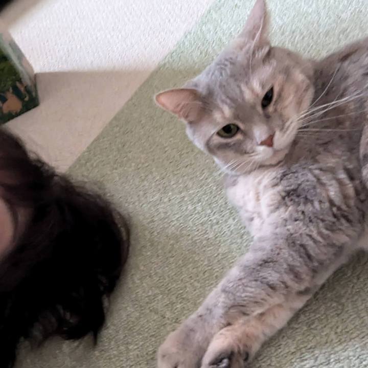 8da32ee4 b12a 4427 a408 76f0694f2272 1723355110367