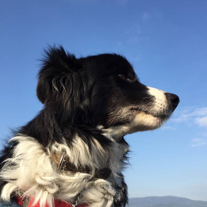 8da354cf 08c1 489b b7a9 55cdfbee568a 1549929059781