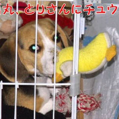 8da486cb 4473 41a4 b07b a8f3de5c3bb1 1679271283818