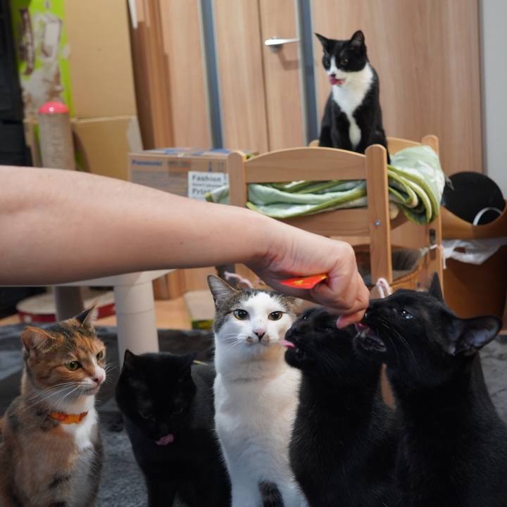 8da4cd79 4502 4526 b0d7 f47e136155e8 1616324331715