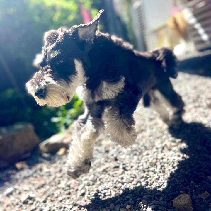 8da4ddd5 d578 4399 ac84 d88b84770495 1765770278352