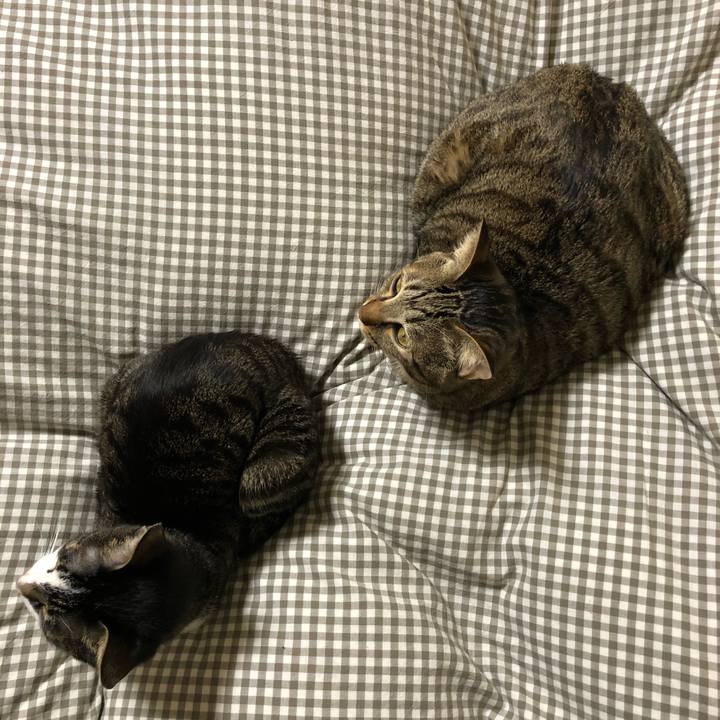 8da4ea64 5147 4e15 82d6 2f57751d2f9d 1519749925516