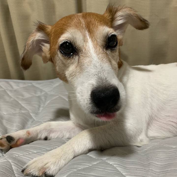 8da547d2 75ab 4a69 928e aef5699b3cc1 1565915600229