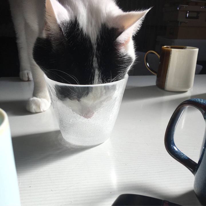 8da57031 13af 4659 9a46 272de4273043 1581227618234