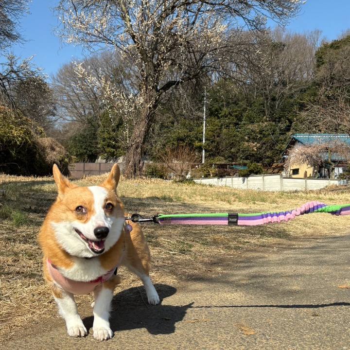 8da5cc03 3519 48ae a149 370d670d7863 1771755082277