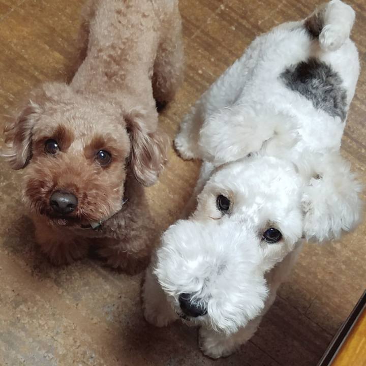 8da5cdd4 35fb 471a 80d5 16503fc12bdb 1514475578475