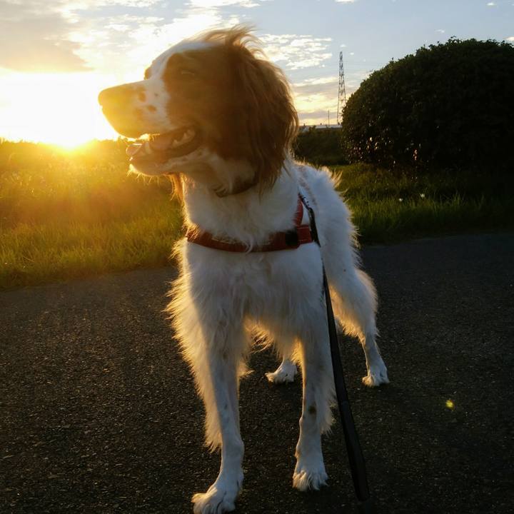 8da5f01d 1a43 428b 9223 32338da56c0b 1537358072884