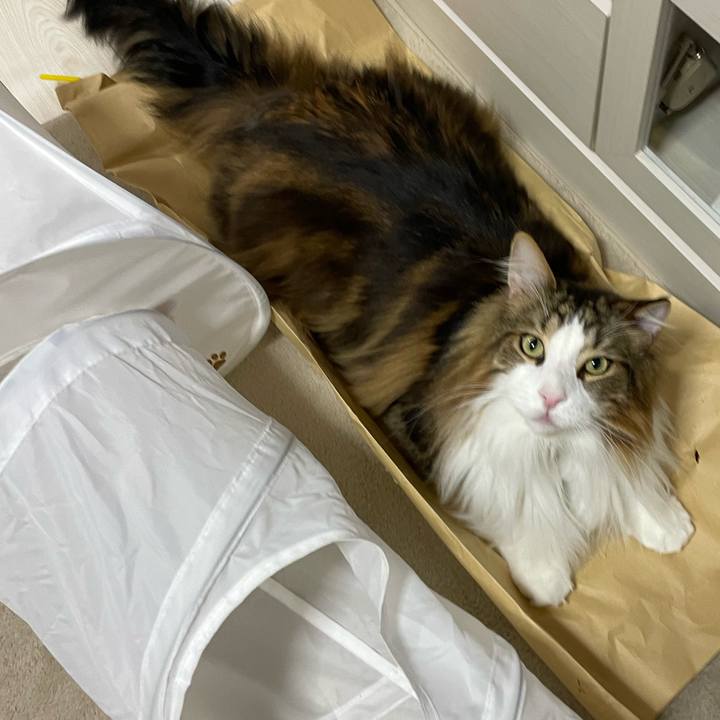 8da61f74 1ad3 43c6 a483 60033ce1285c 1710192919692