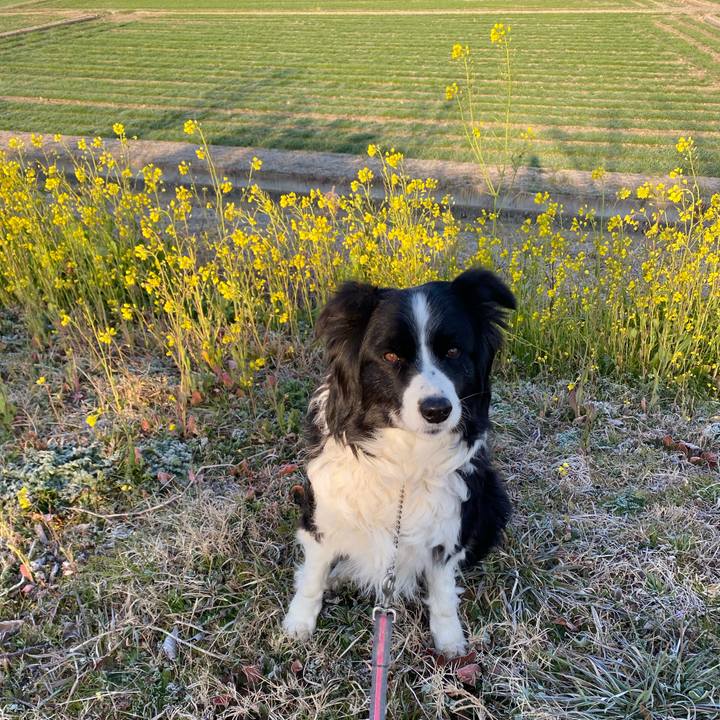 8da623cd be1f 469f aee1 5cde4d558a71 1646696067636