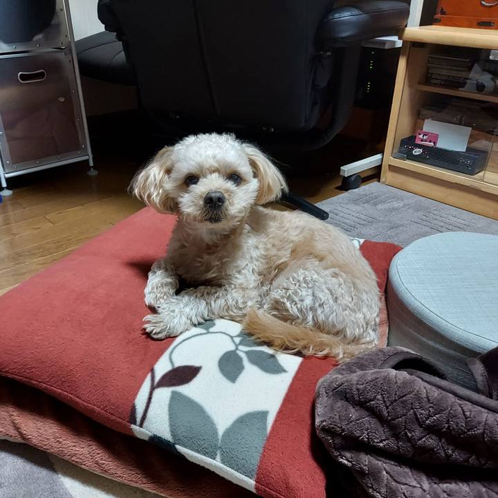 8da6454d 1eb4 4819 abae b4be09cffb32 1639744718771