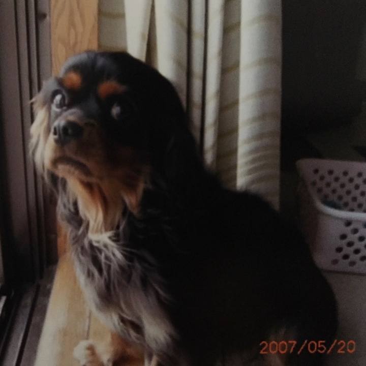 8da64e0f dfdd 4446 bffb ec0b8c5863ab 1558681663601