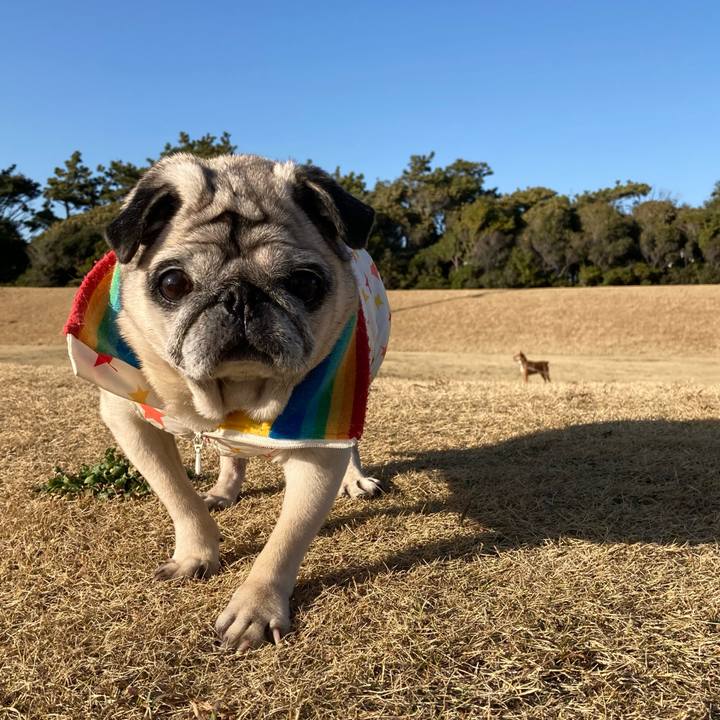 8da669b6 0e9f 4a2b 9f00 e70744c0106f 1614856301386