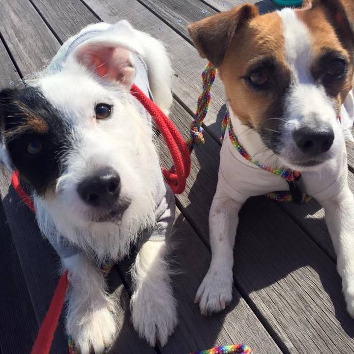 8da67e1f d7f3 46e7 8dbc e9a9e58dac36 1696073864128