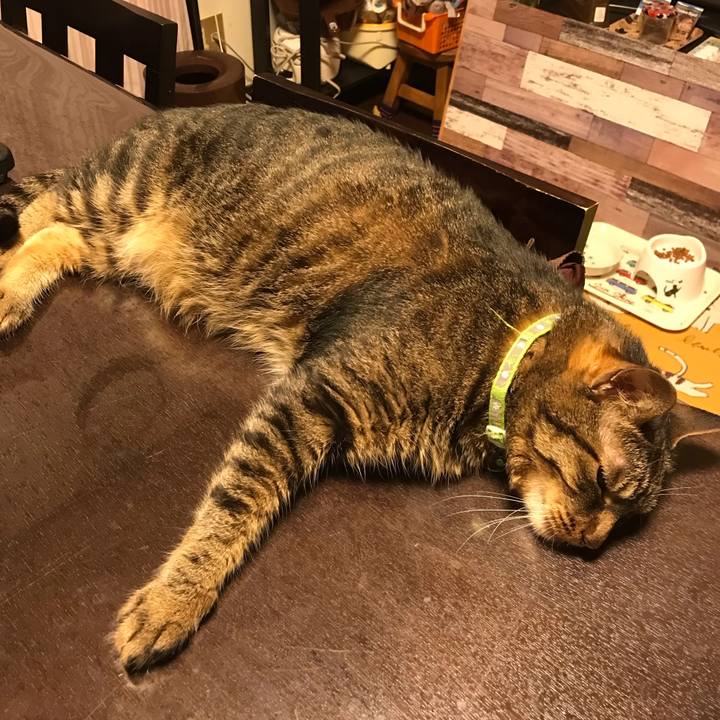 8da68696 9617 410b 9b21 a327c823c644 1628953005973