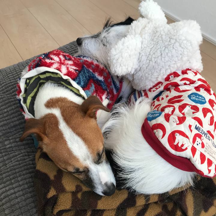 8da6a881 b2ca 4ee3 a0e4 b9aa6d71f153 1511159067916