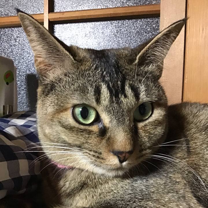 8da6b258 e971 4f4b bd62 802c051b16bf 1615198399721