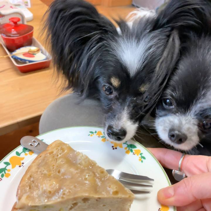 8da6cb10 3eb8 4d92 80bb 110411c1b557 1581060411963