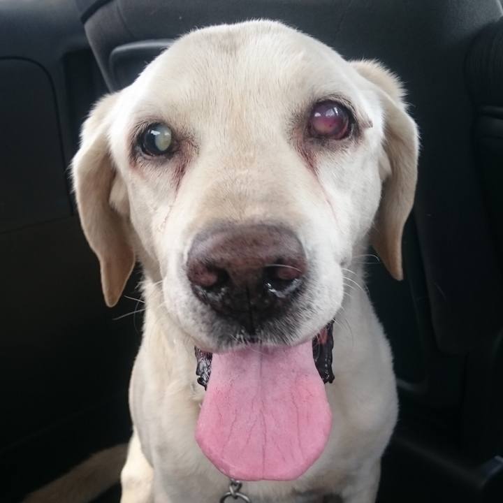 8da6cfe9 3e97 4368 9a94 71d77e60be4f 1514091010388