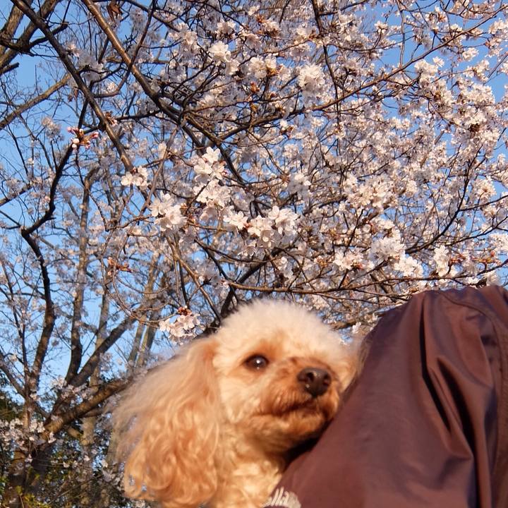 8da713da 6445 408e b624 addcd9522706 1522238007195