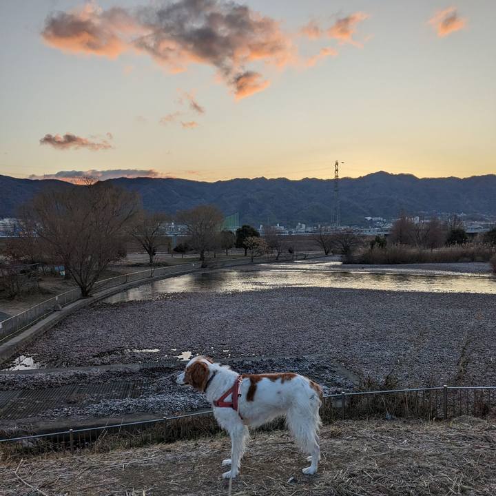 8da730fd 57dd 46bf 92b3 5655868e2bf0 1674695105937