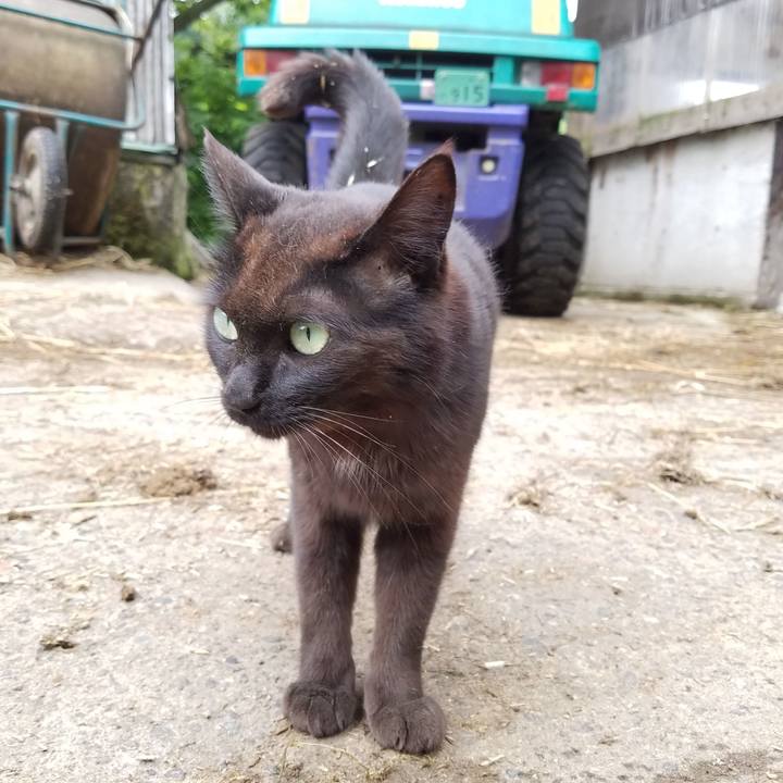 8da75e6d 0cdb 421c 910d bd152f491ce5 1590454218542