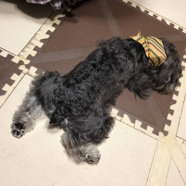 8da7a294 f95b 44d1 9f86 95e494e59d6a 1532258022211