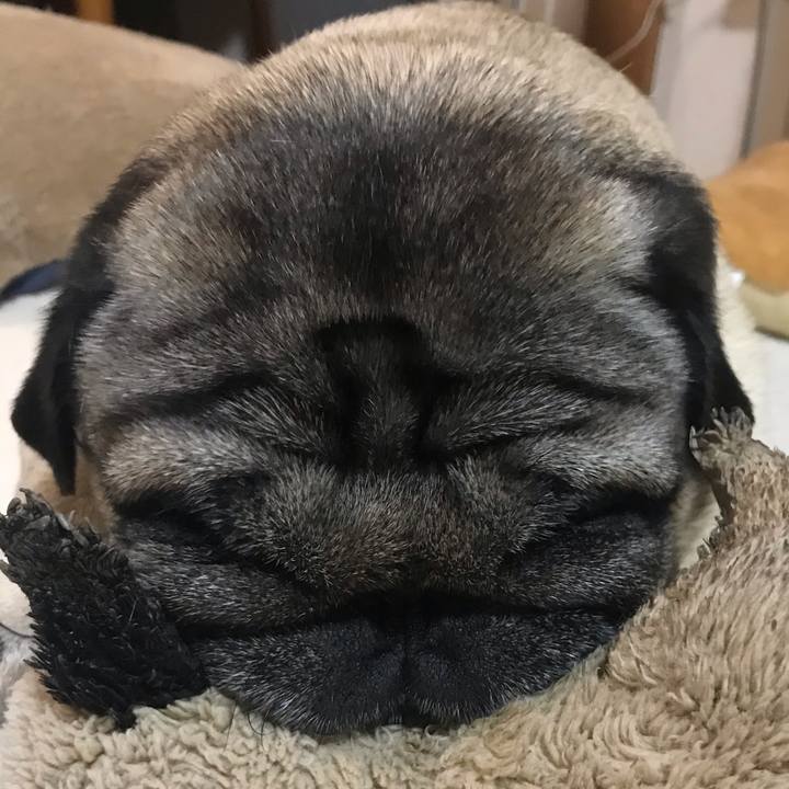 8da7ab76 3aab 4301 8d58 6fda50e364e7 1588414718114