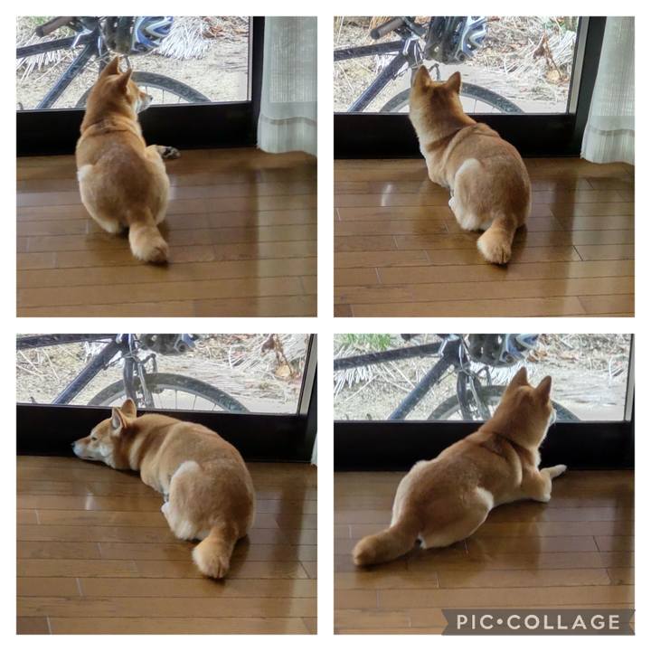 8da7b1c0 631f 41c3 8972 7ce444385608 1706166195652