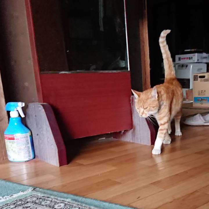 8da7c023 fde0 4db6 b83b 7452971a0e48 1595409965484