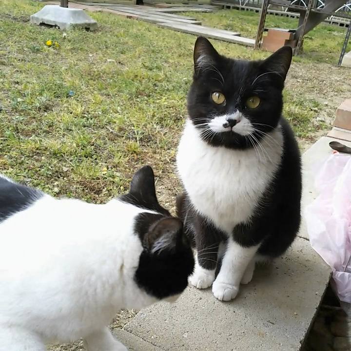 8da7df60 13e8 4eae abb0 2ec15eb17bd5 1554018241388