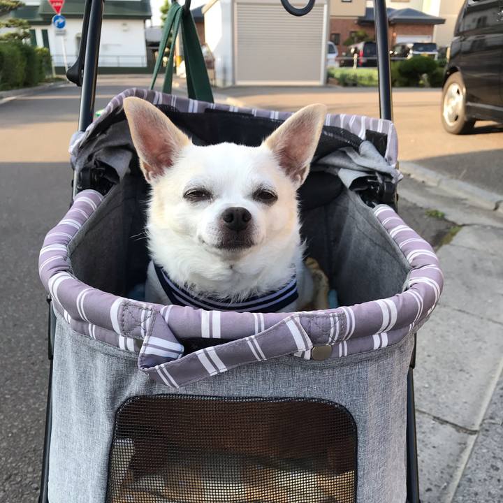 8da7e256 bbed 4ce9 9346 82609f635a54 1570109280575