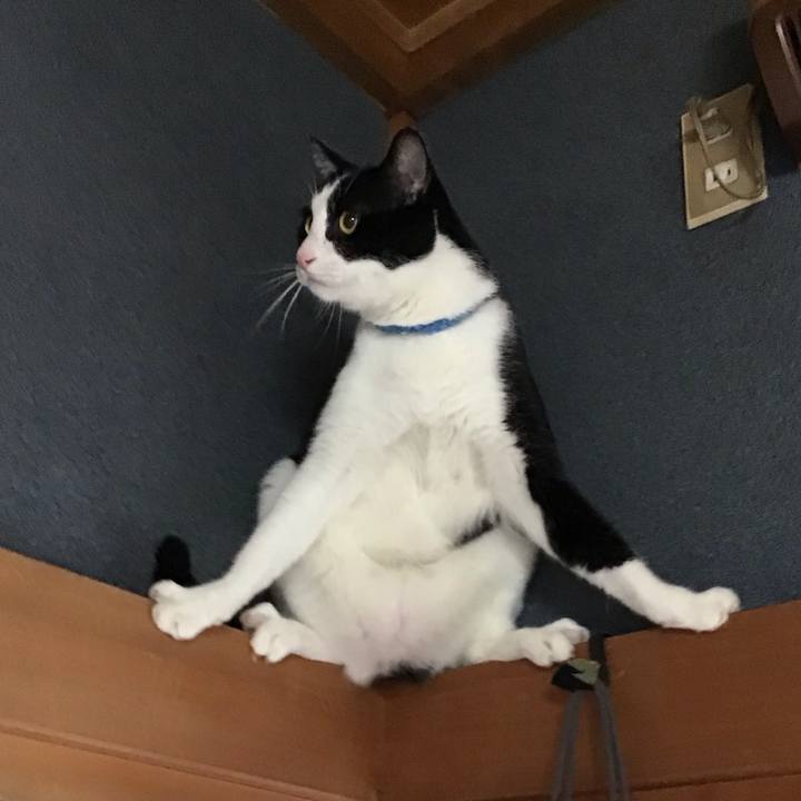 8da7f06e 500e 4200 9b44 f73b1c12e811 1696842584218