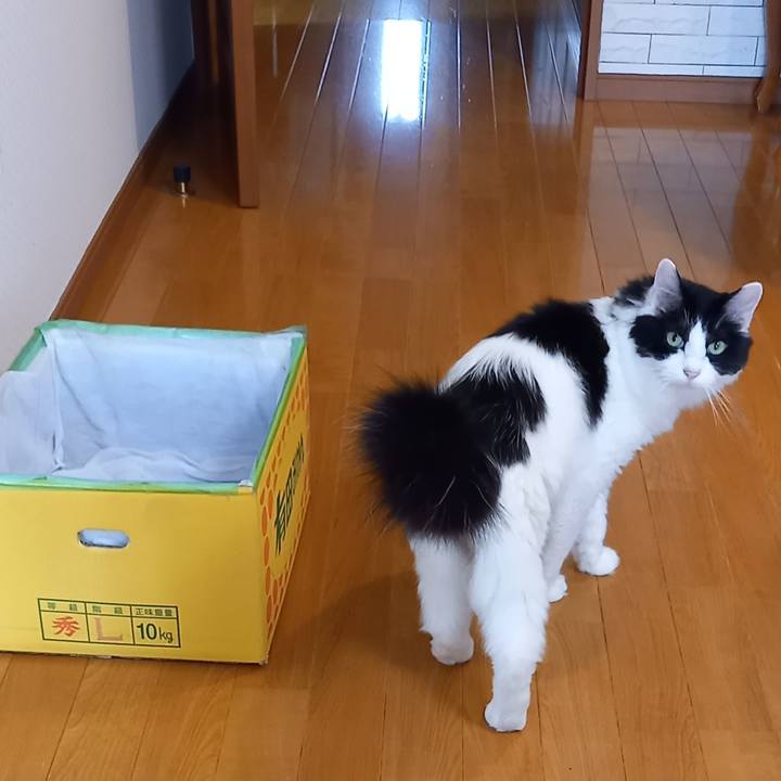 8da80552 5cfe 4c10 9061 1958203af2fe 1688511974206