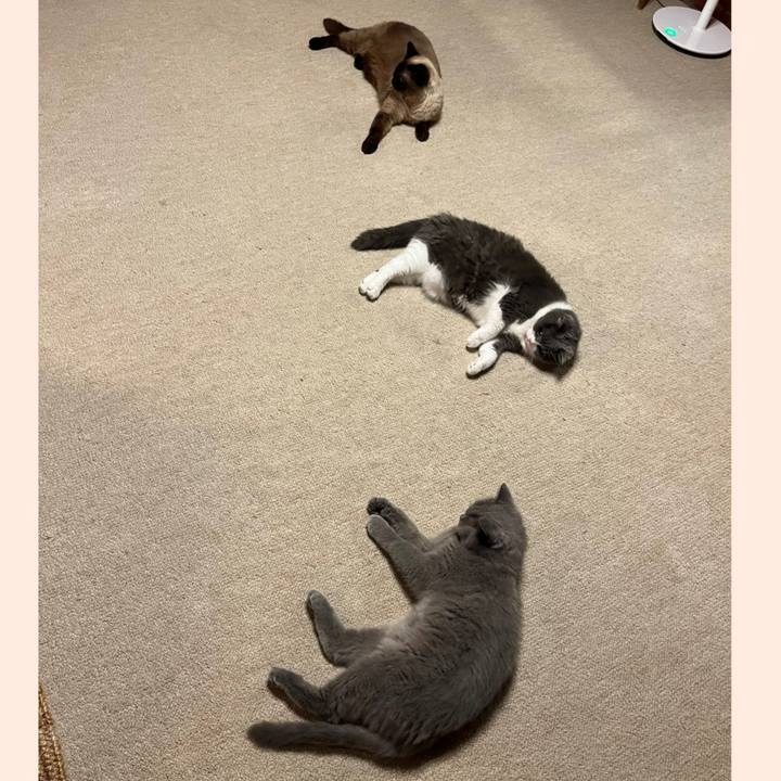 8da8281d d7c7 43e4 9384 3e110f58dcba 1722858537740