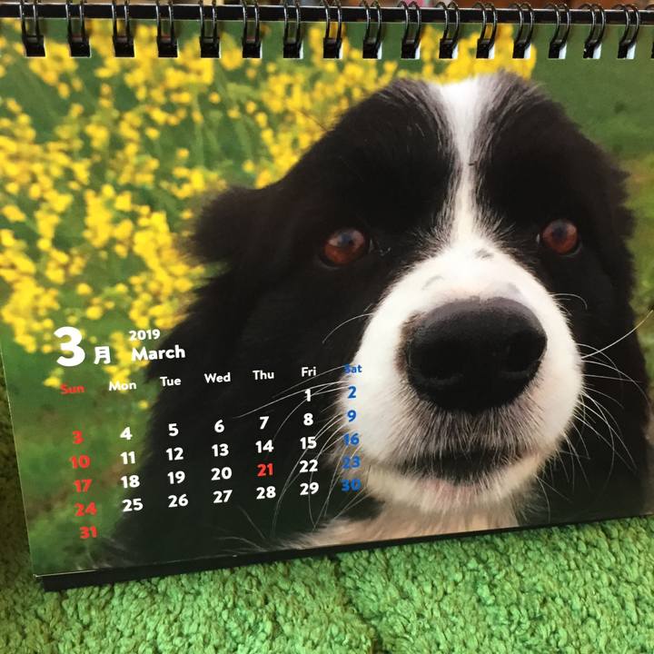 8da87e51 50dc 4c4e a187 9a27e8128918 1551392366455