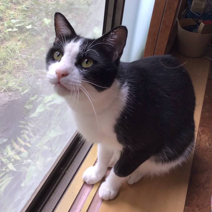 8da88204 a89b 4397 a725 a92f6bd6d224 1689338365989