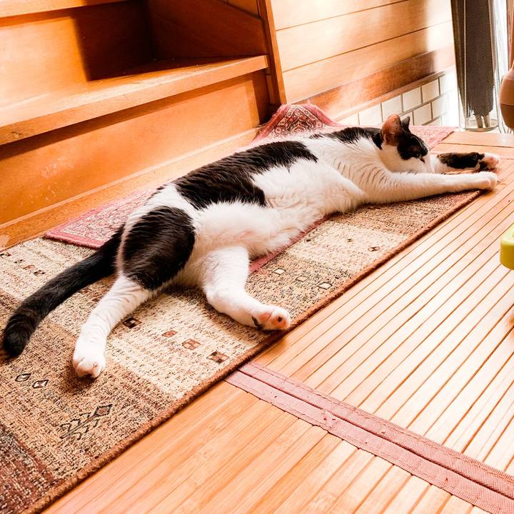 8da88911 4c4b 4d71 b1c4 be254e535d4a 1571190719152