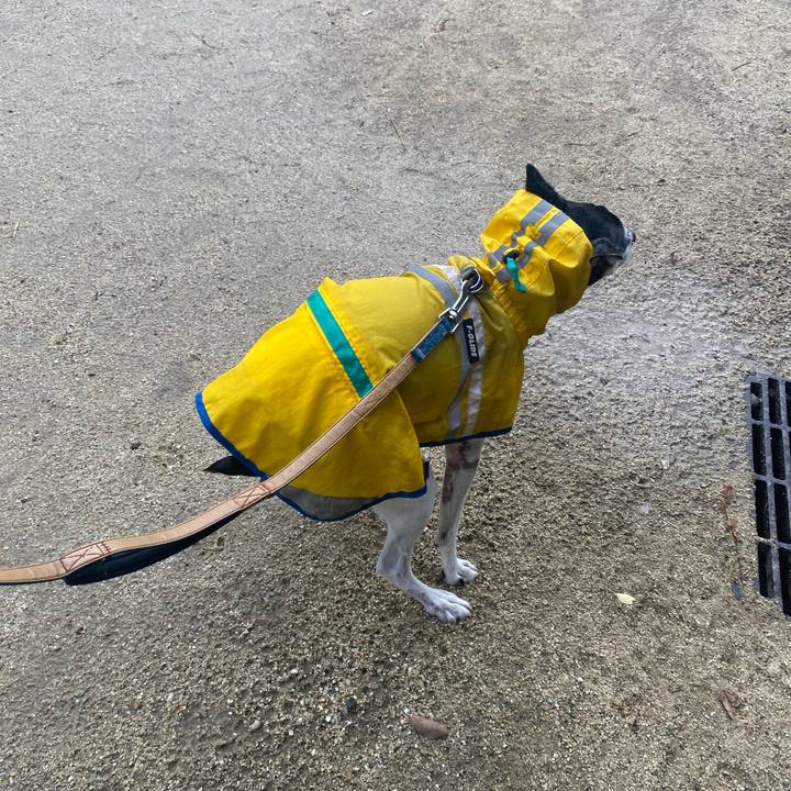 8da8a042 94ff 4dc2 aa7c 8672689692df 1624917970368