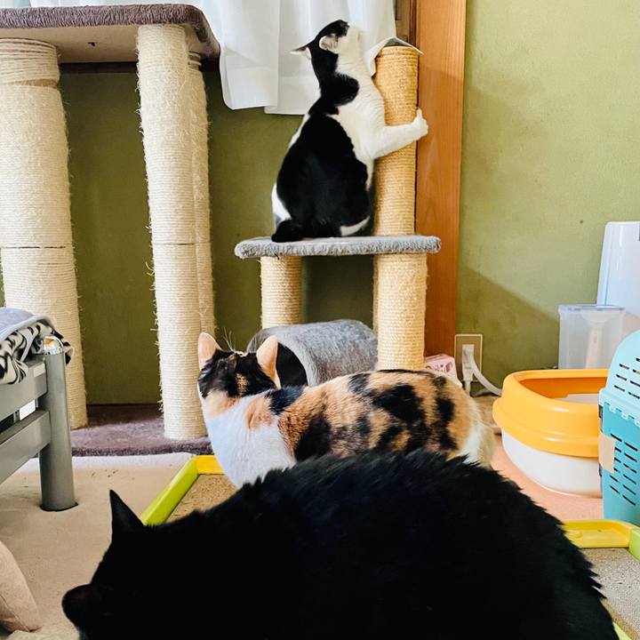 8da8f00f 318a 47ba 89fb 4098fd65fd52 1614479030791