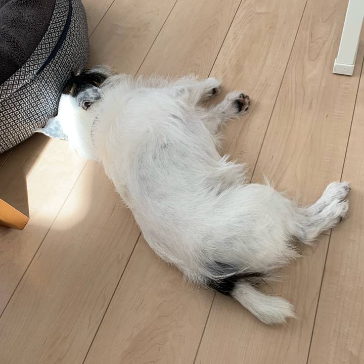 8da8f04d 6cdf 4ef1 9fa2 9cb6d8ed0f25 1728008122263