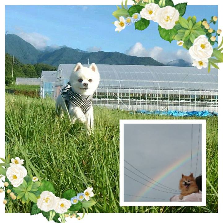 8da91d1b 7703 40aa 9ff9 edd6f8e80bcb 1546778150518