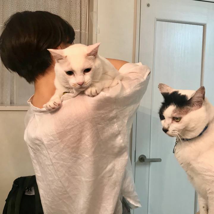 8da93f35 d86c 4b7c 968b ac3d17331b4a 1566550891785