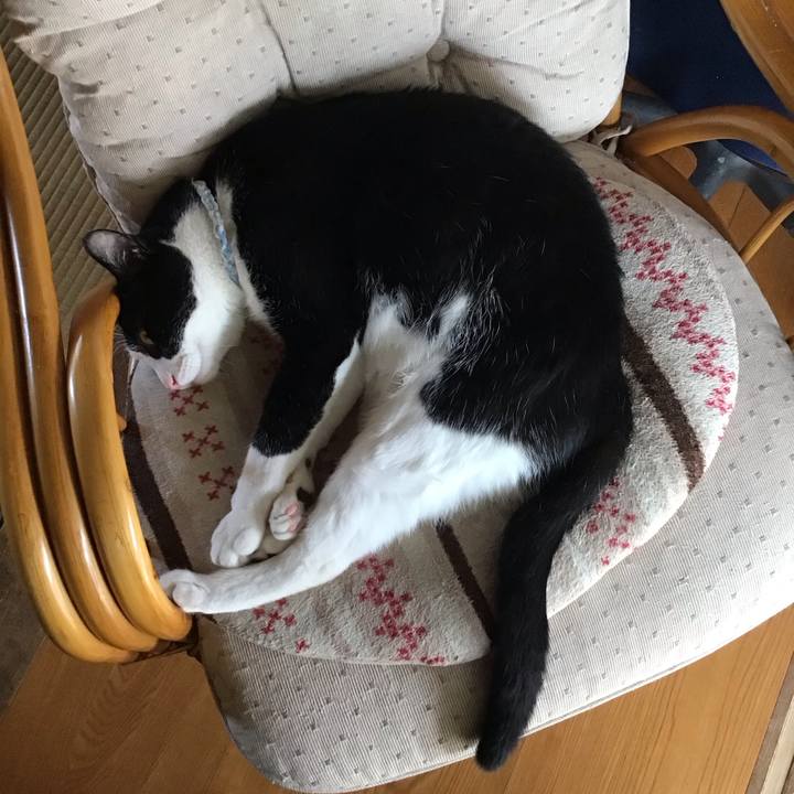 8da961f1 37c9 45da bb2e 2b5818bd3ee3 1689940088820