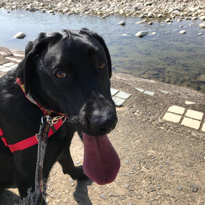 8da984aa 5a88 45e1 8c2d 6bafdc0acd07 1518930754579