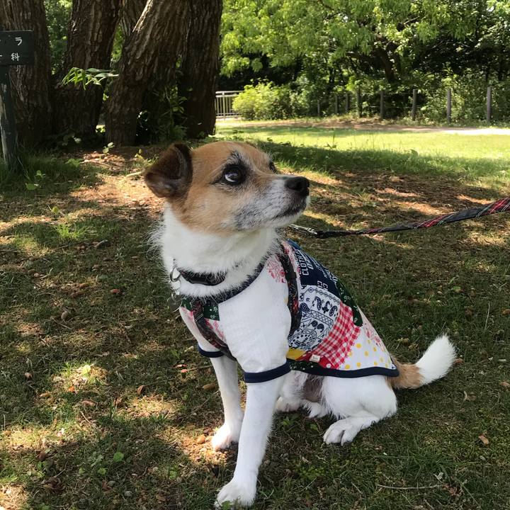 8da98bc0 971c 40c6 9af0 81e5f2a1136f 1524981920385