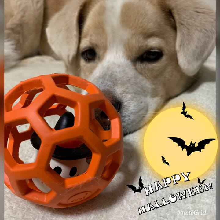 8da9a5a5 4ee3 4bdf ac3b d858bb2f80a6 1572533211149