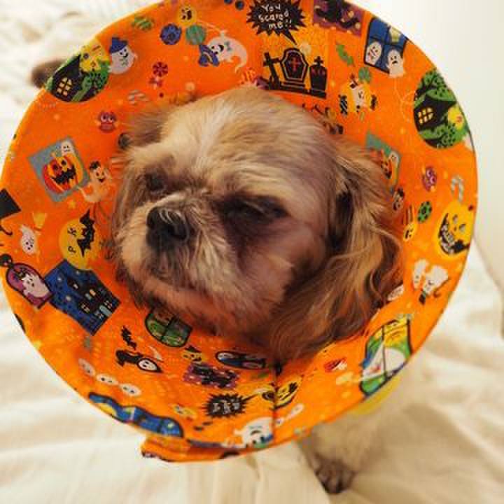 8da9a765 fd0b 49d9 9d43 8a60cc247747 1671328146280