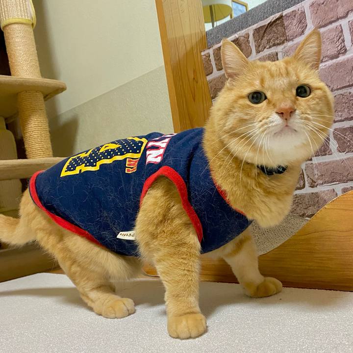 8da9cbf9 ee6f 4beb a016 3cca28581ed9 1699610797797