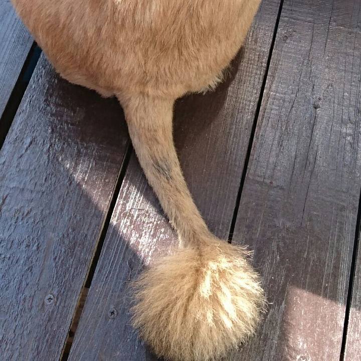 8da9fd67 b6e1 47bd 954b d9b5d50f0670 1510451285874