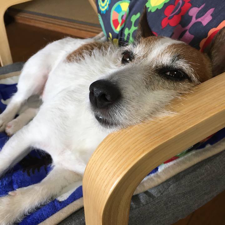 8daa27dc 00cb 4821 99f9 585420baa347 1598225929606